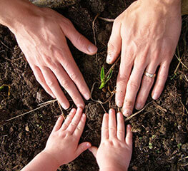 Village: Jamli Taluka: Sondwa District : Alirajpur