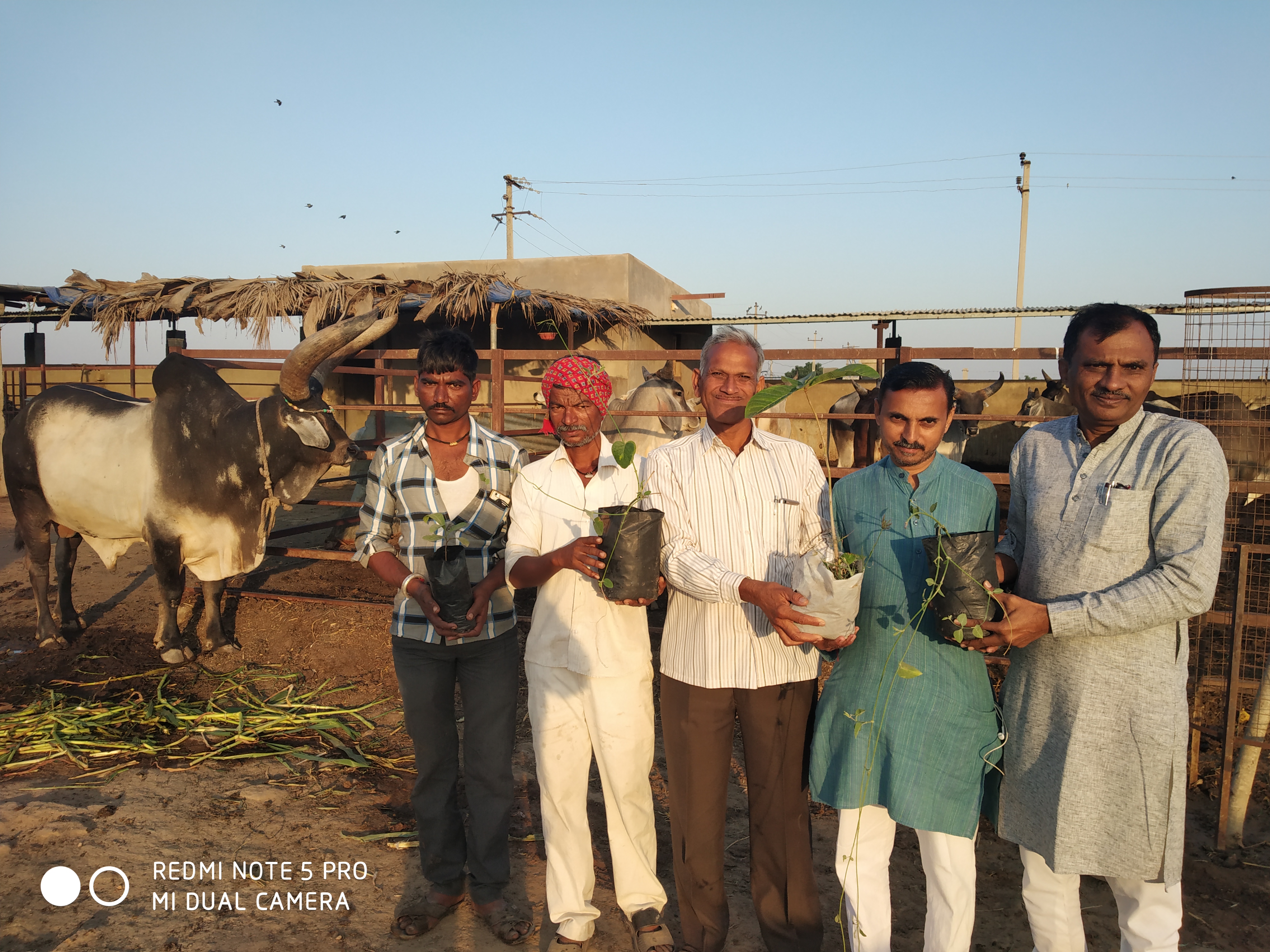 Village : Bhada - Nana Laayja - Panchotiya - Kathada - Bhisara, Taluka : Mandavi - Kachh